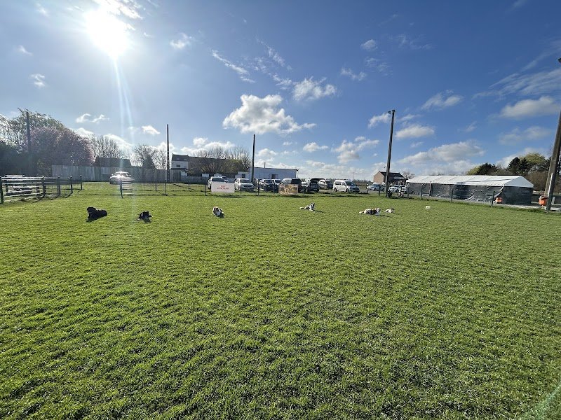 Centre Canin de Formation Wangenies (Fleurus) - photo 1