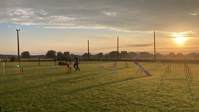 Centre Canin de Formation Wangenies (Fleurus) - photo 3