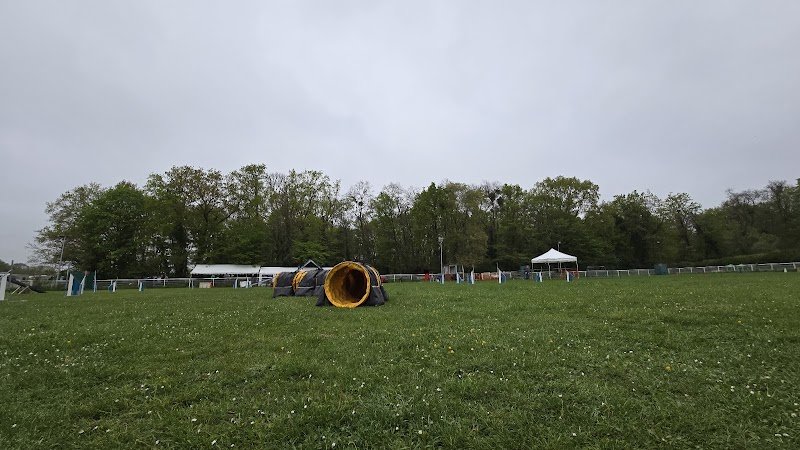 Club Canin Chantilly - photo 1