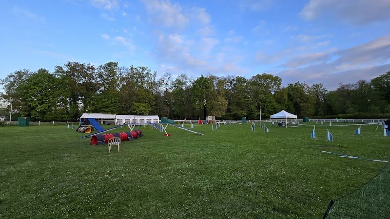 Club Canin Chantilly - photo 2