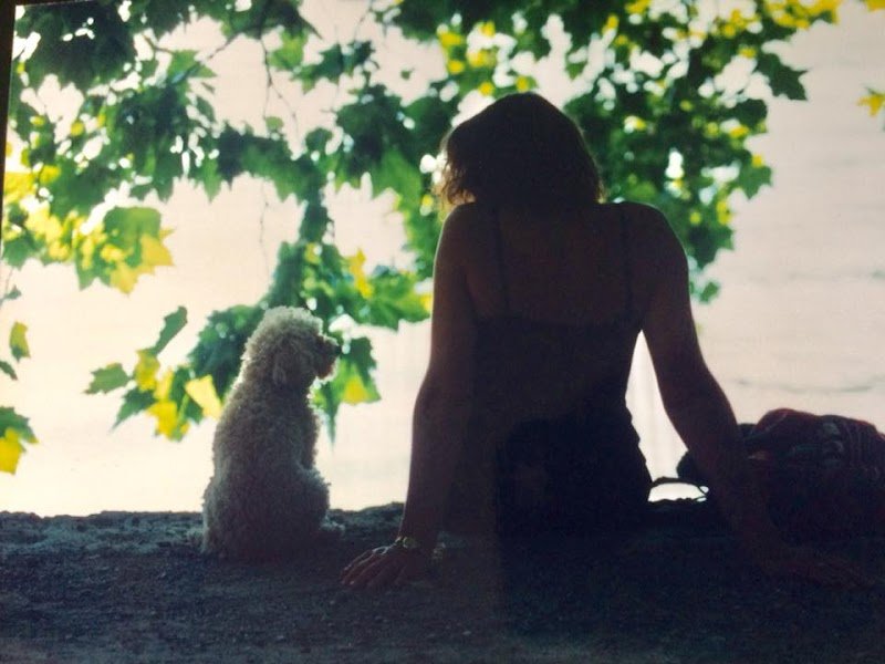 Educateur canin - Comportementaliste - Oise - photo 1