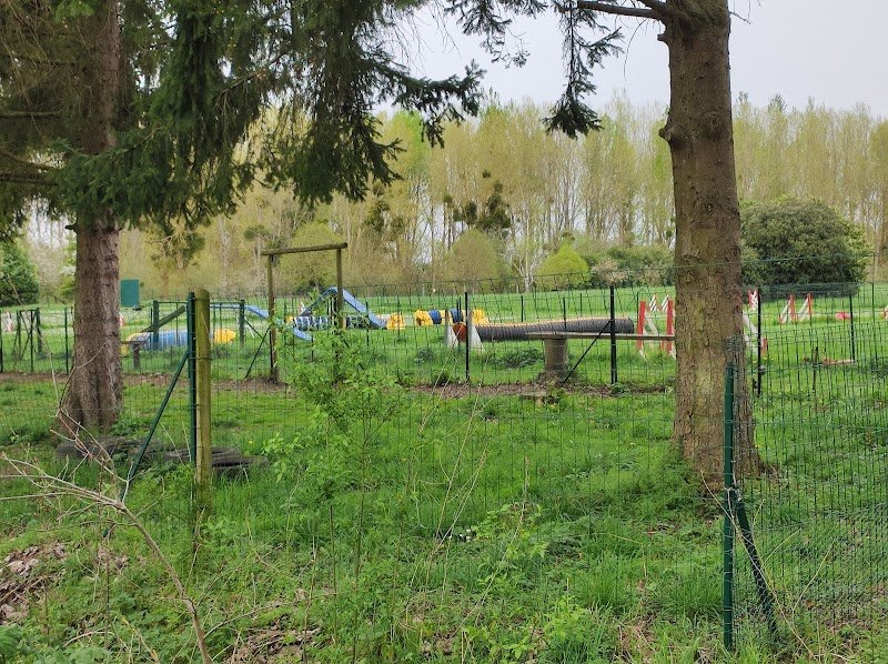 U. S. BRESLES SECTION CANINE - photo 1