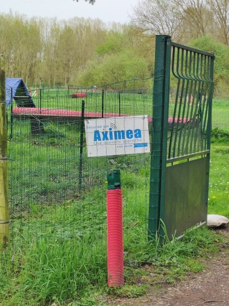 U. S. BRESLES SECTION CANINE - photo 2