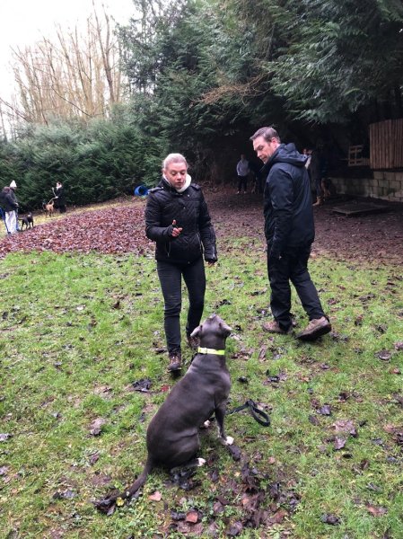 Lamy's Dog Educ - photo 2