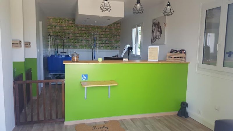 Élégance Canine & Féline - photo 1