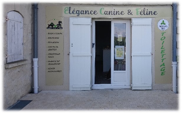 Élégance Canine & Féline - photo 2