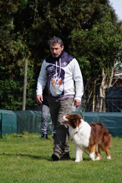 Feeling Dog - photo 3