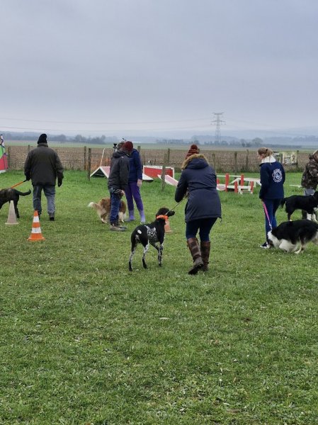 Club canin du pays de thelle