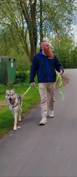 J.D.F Education Canine - photo 3