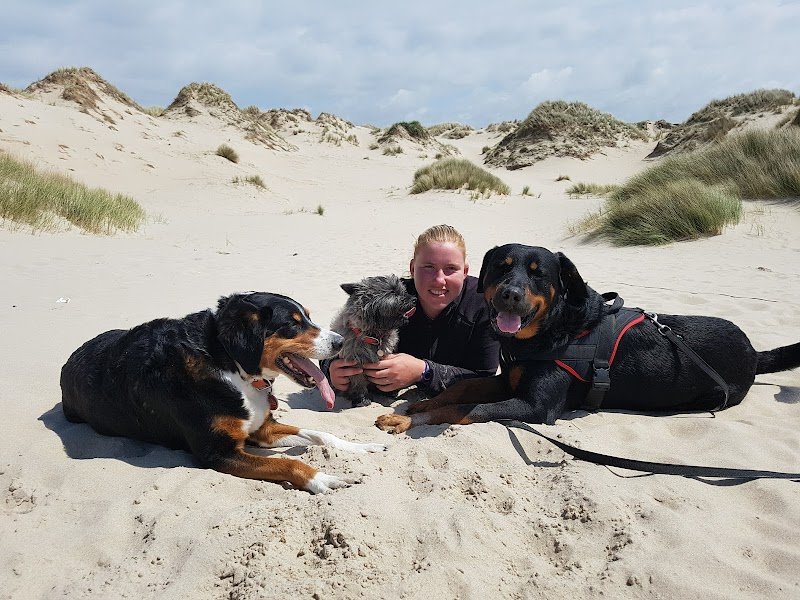 Laura & les chiens - photo 2