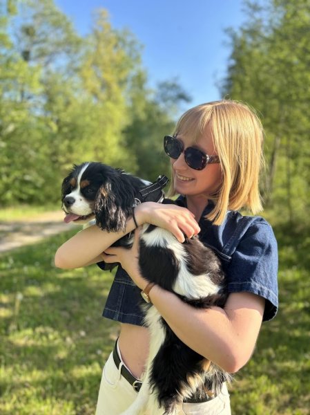 MV Dog Education - photo 2