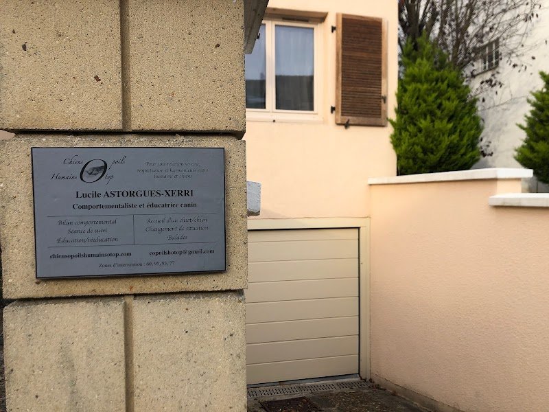 Lucile Astorgues-Xerri / Chiens o poils humains o top / Educatrice-comportementaliste canin - photo 1