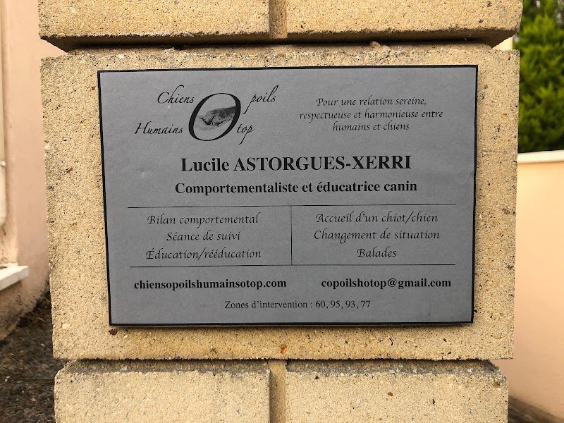 Lucile Astorgues-Xerri / Chiens o poils humains o top / Educatrice-comportementaliste canin - photo 3