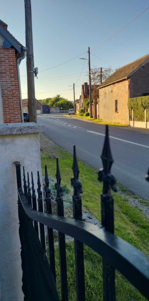 Cynozou: comportementaliste canin, educateur canin et zootherapie - photo 2