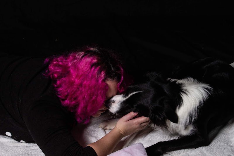 Cynozou: comportementaliste canin, educateur canin et zootherapie - photo 3