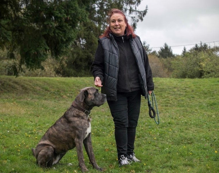 LMC Dog éducateur et comportementaliste canin à Cergy (95) et 40 kms aux alentours - photo 1