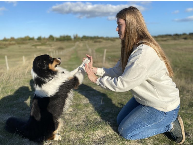 Crème de chien - Educateur canin / Médiation animale - photo 3