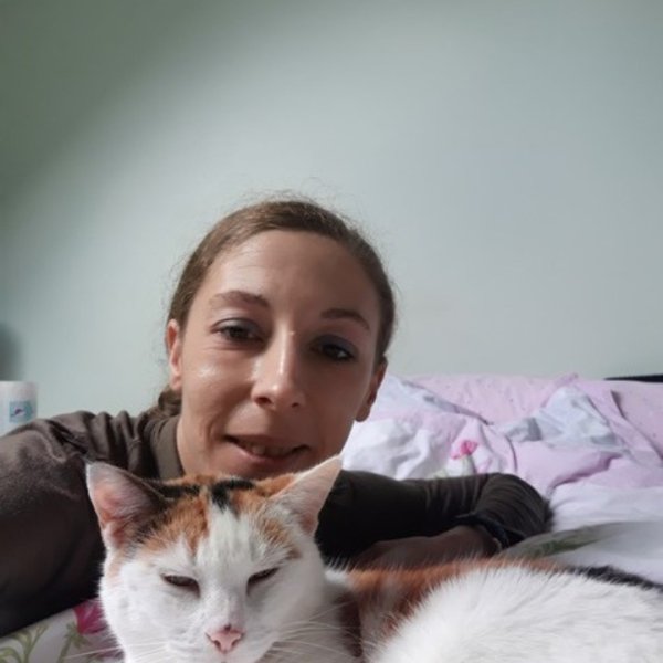 Bien dans ses coussinets Educateurs/Comportementalistes Canins Félins - photo 3