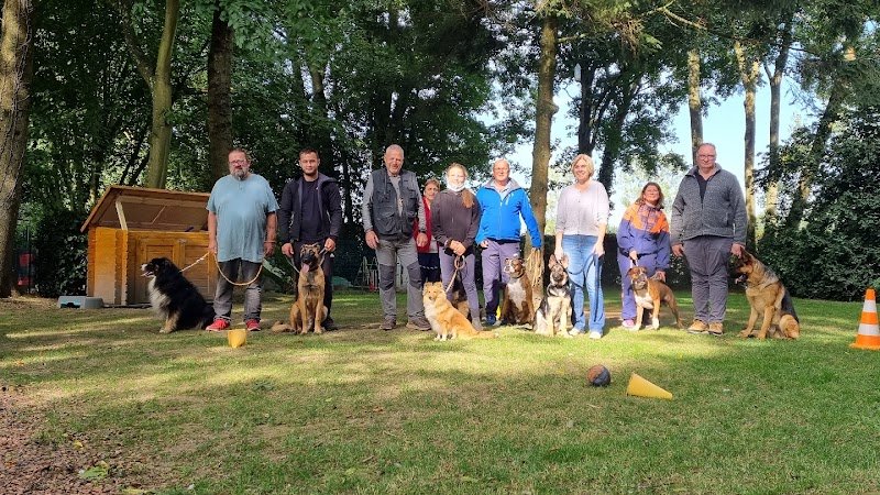 Pat & Ben éducateurs canins