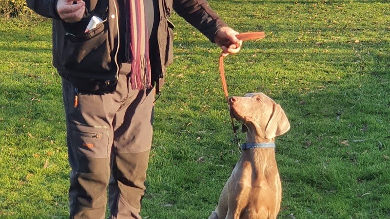 Pat & Ben éducateurs canins - photo 2