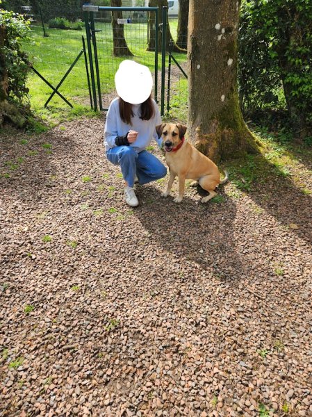 Pat & Ben éducateurs canins - photo 3