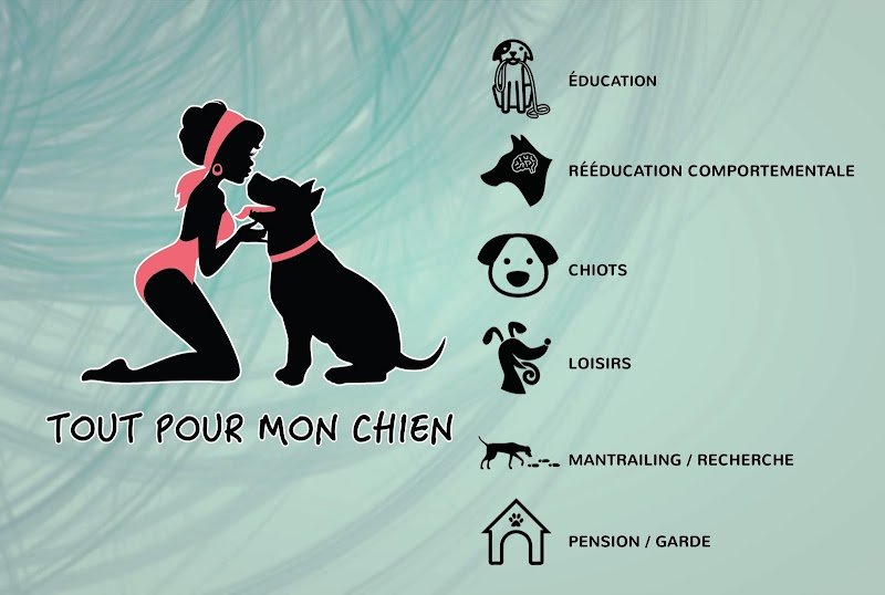 Tout Pour Mon Chien - photo 3