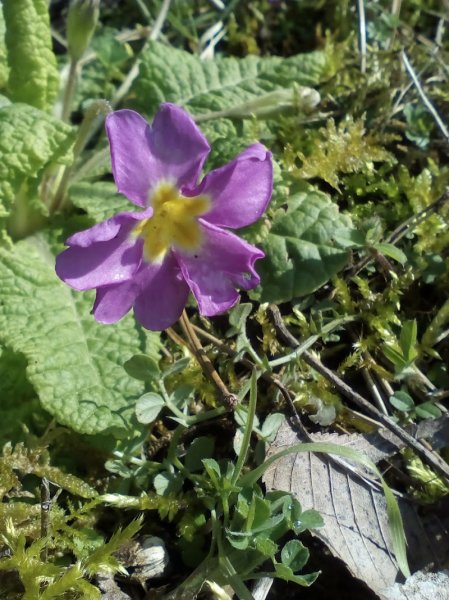 Le domaine de Champagne (Pension et Education canine)