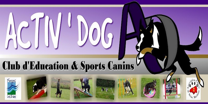 Activ'dog - photo 1