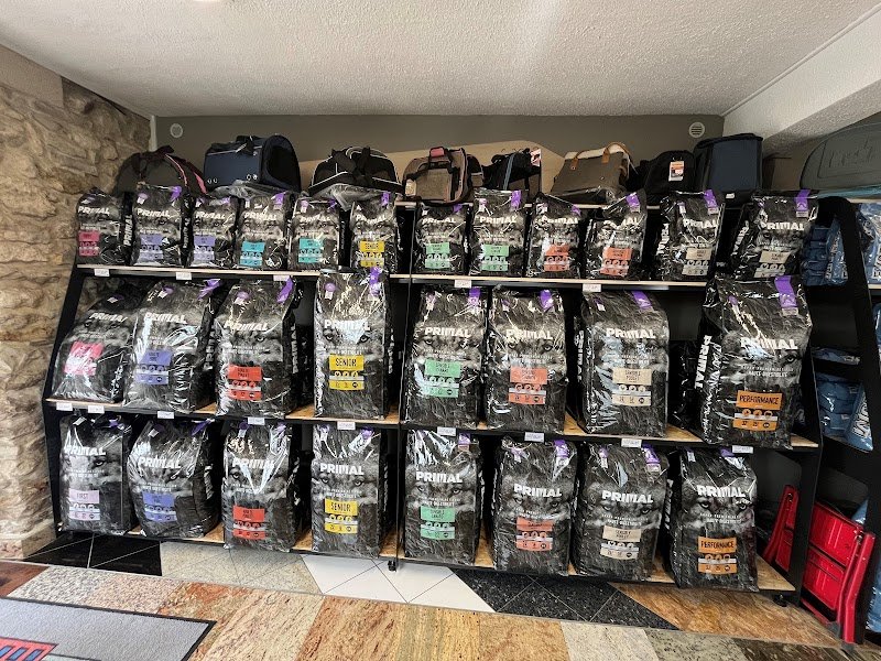 Canaldog Lagny-le-Sec - photo 2