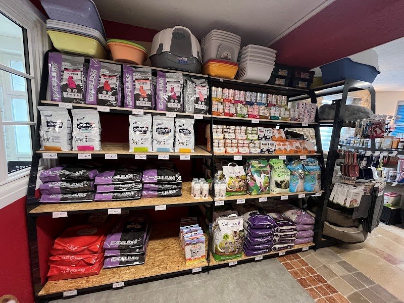 Canaldog Lagny-le-Sec - photo 3