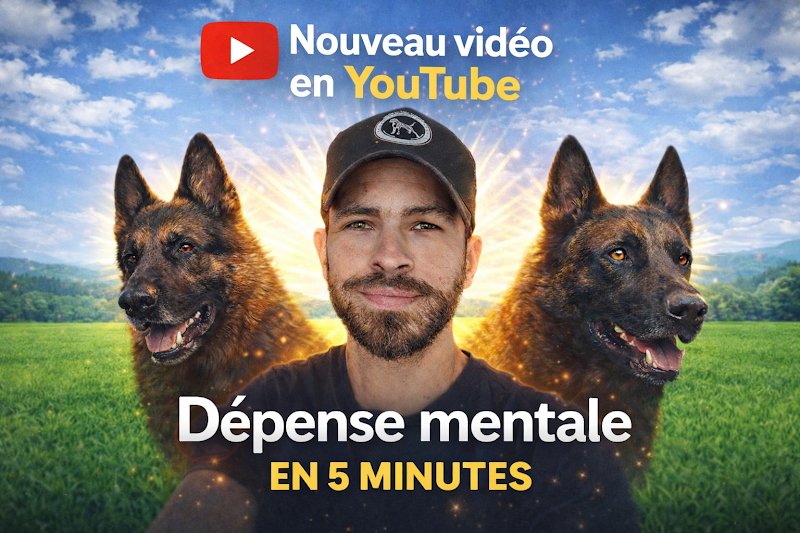 Fernando EDUCATEUR ‍🐶 Spécialiste en éducation et problèmes de comportement depuis 17 ans 👨‍🏫 - photo 2