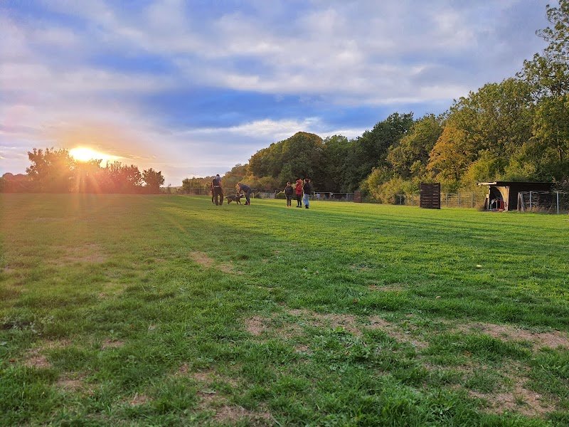 Fernando EDUCATEUR ‍🐶 Spécialiste en éducation et problèmes de comportement depuis 17 ans 👨‍🏫 - photo 3