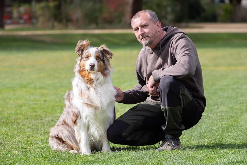 Natureduc - éducateur comportementaliste canin - photo 2