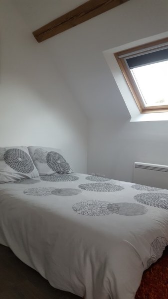 La Maison Des Chiens Rouges - photo 2