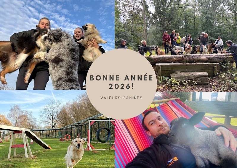 Valeurs Canines - photo 3