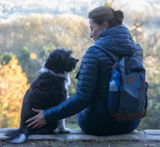 Place aux Chiens - Comportementaliste canin & Pension familiale