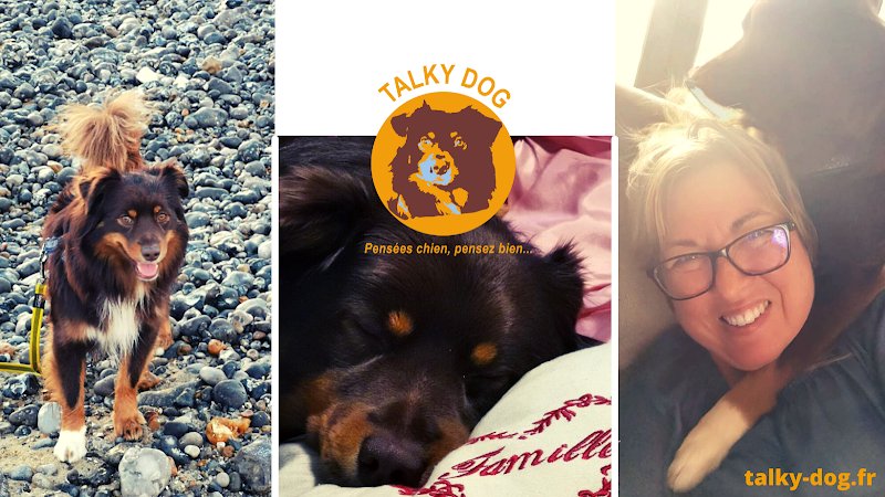Talky Dog - Comportementaliste canin - photo 2