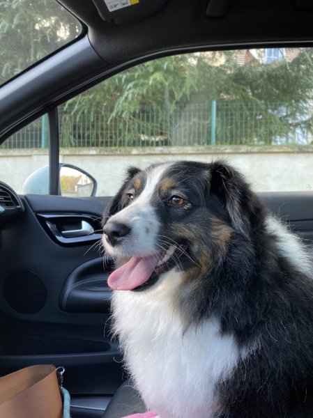 Esthéti'chien - photo 3