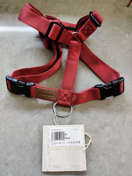 DolceVitaDog - photo 1