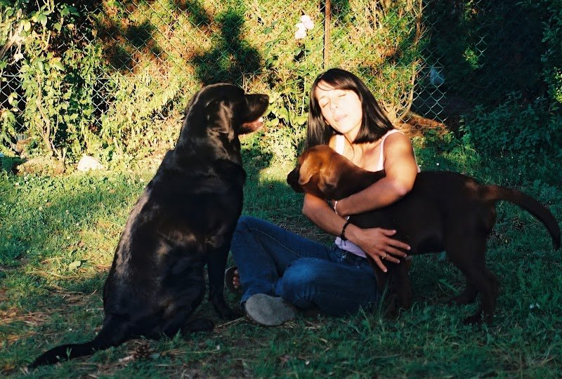 Parc de l'Aure - Parc de Jeux Canin/éducation de votre chien près d'Amiens à Saisseval - photo 2