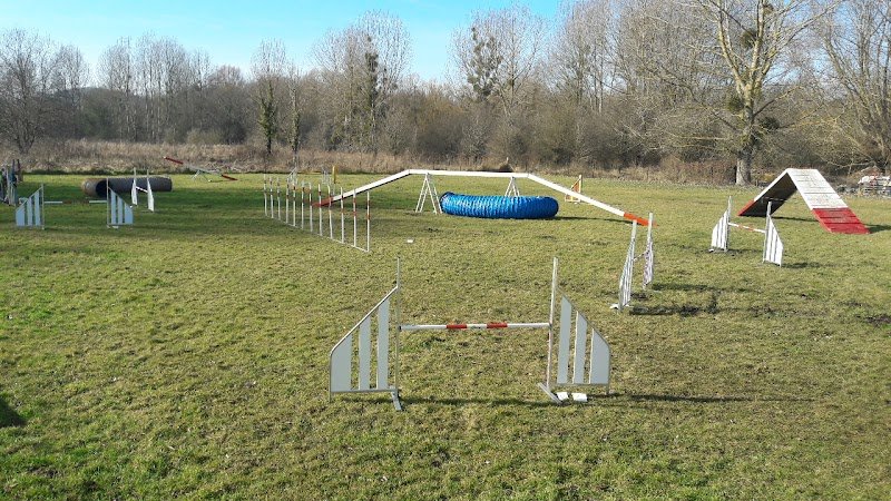 asic canin de bouttencourt - photo 2