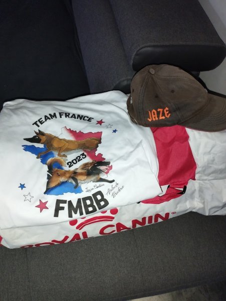 asic canin de bouttencourt - photo 3