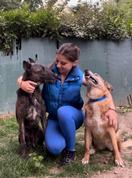 Teamdoggist - Education Canine - photo 2