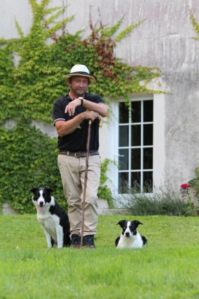 Julien Robert - Élevage & Dressage Border Collie - photo 3
