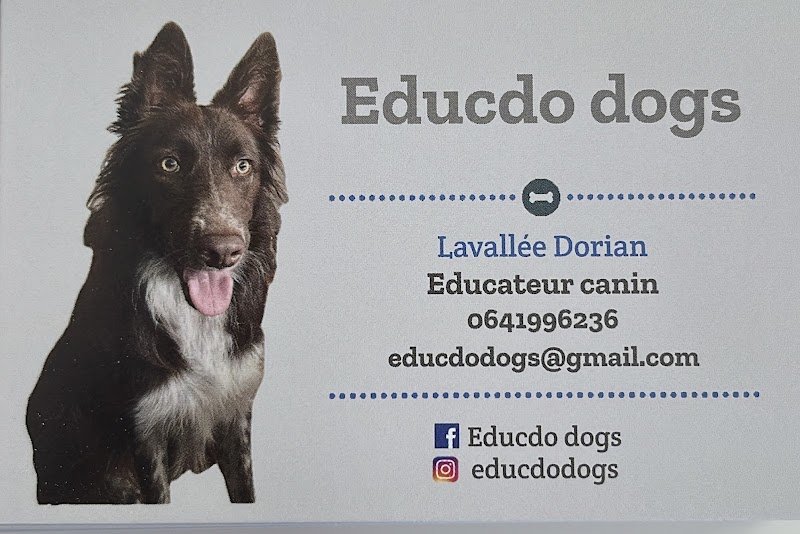 Educdo dogs - photo 2