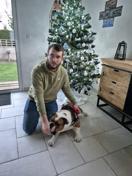 Educdo dogs - photo 3