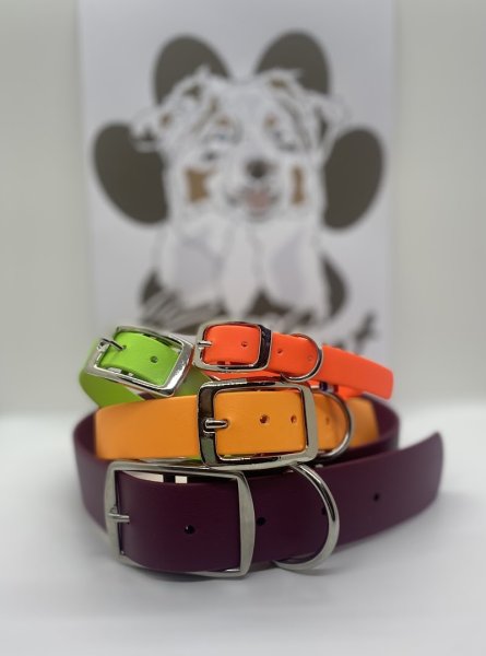 Animau'Ryat - Éducateur/Comportementalisme Canin - photo 1