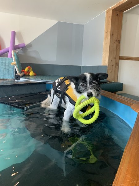 Canino terre Happy - photo 1