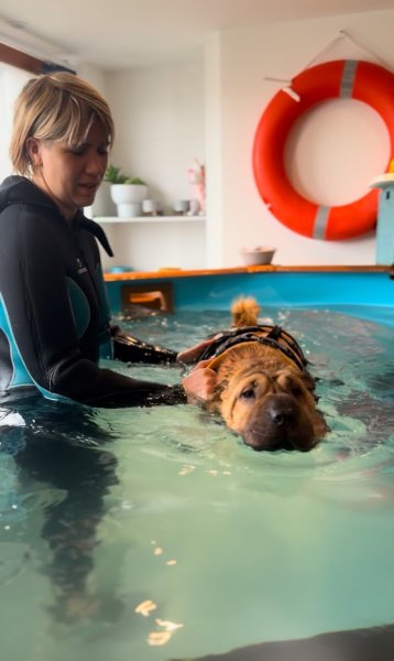 Canino terre Happy - photo 2