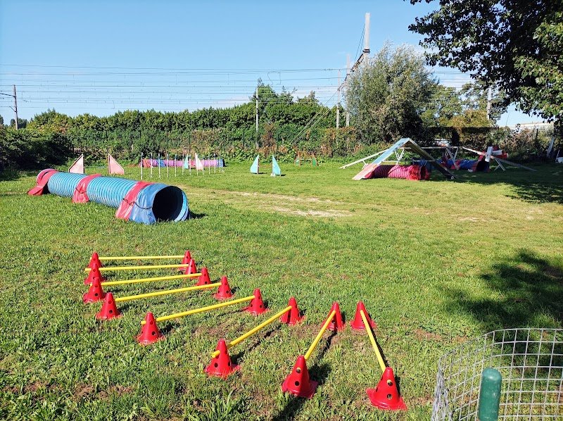 Club des Amis du chien de Sucy - photo 2